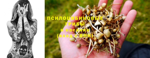 спиды Алексин