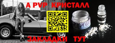 прущие грибы Кунгур