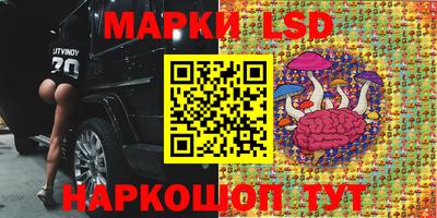 стафф Кулебаки