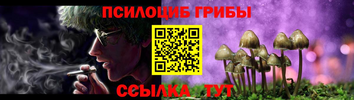 Галлюциногенные грибы мицелий Солнечногорск